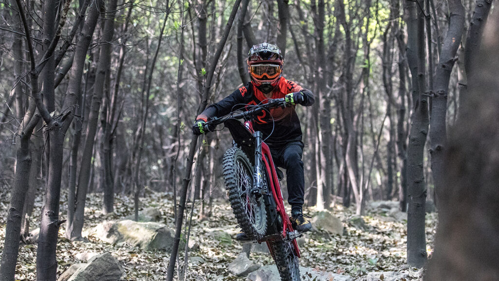 Sur-Ron Ultra Bee vs. Storm Bee